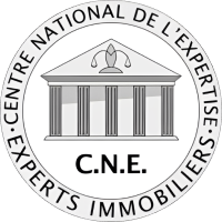 Arsati Immobilier Agence Immobiliere Noyal Sur Vilaine Logo CNE Arista