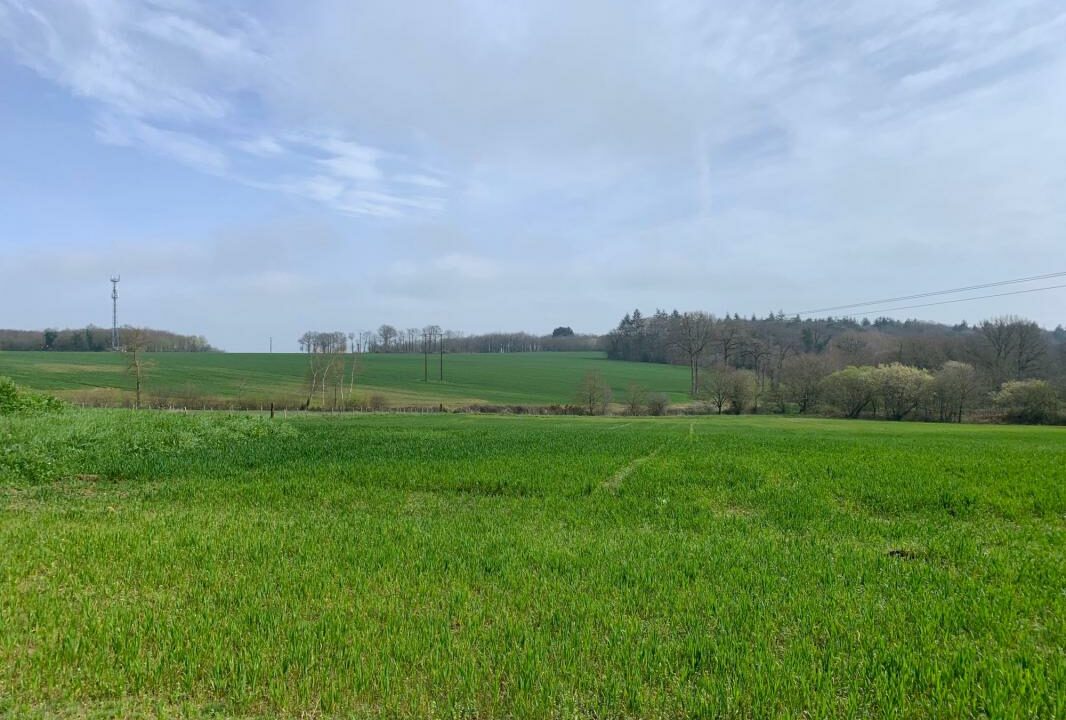 216-ARSATI-17062025-033145-1
