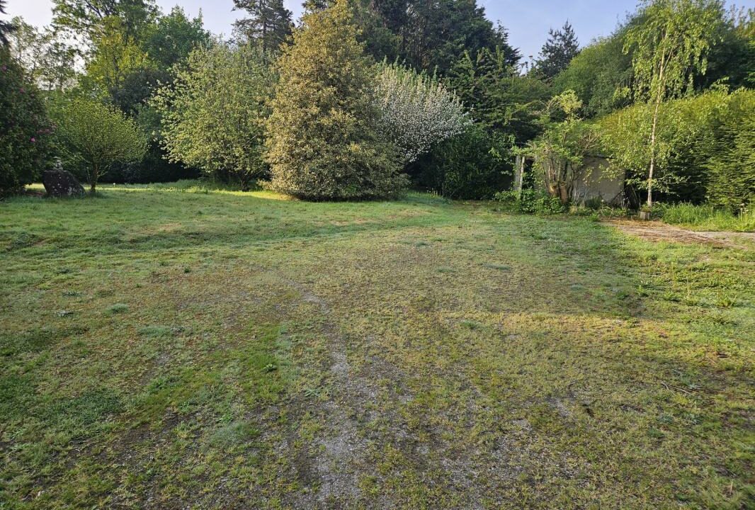 VT137-ARSATI-16062025-024941-2