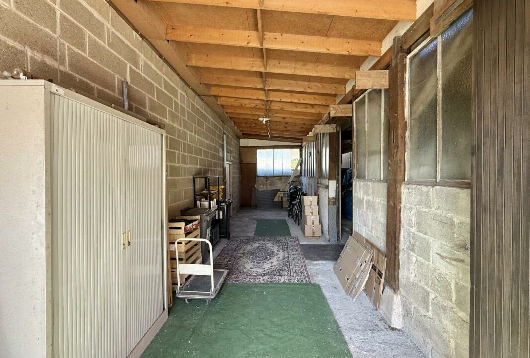 391-ARSATI-11082025-025457-8