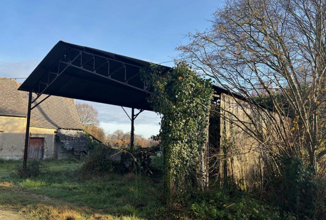 286-ARSATI-30112025-033836-6