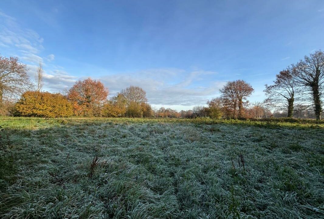 286-ARSATI-30112025-033836-7