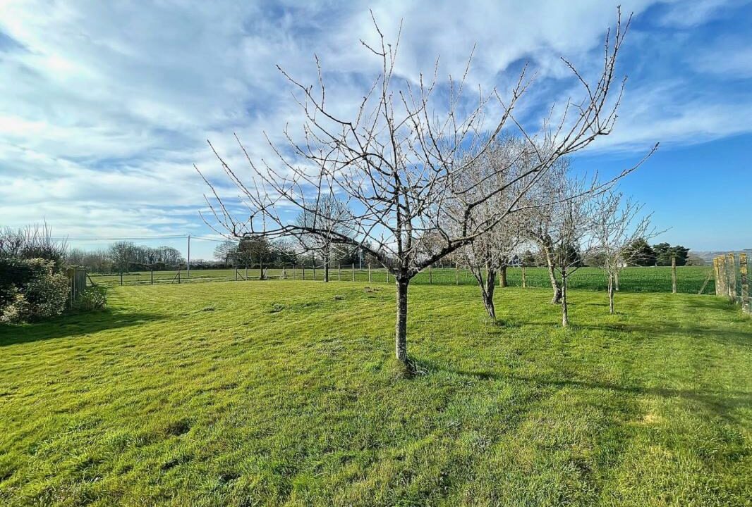 311-ARSATI-30112025-033839-15