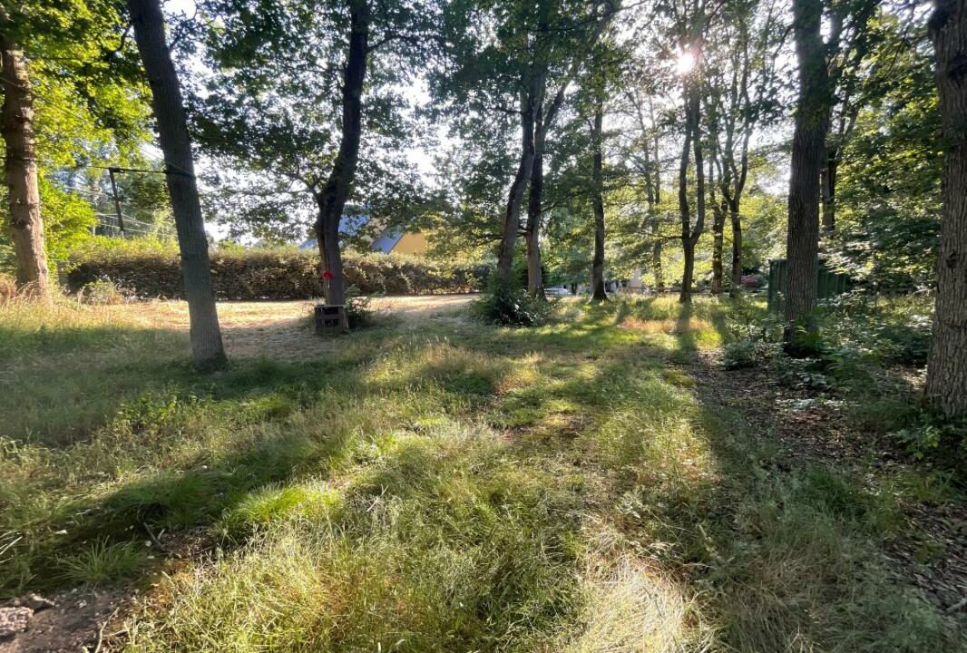 390-ARSATI-30112025-033842-14