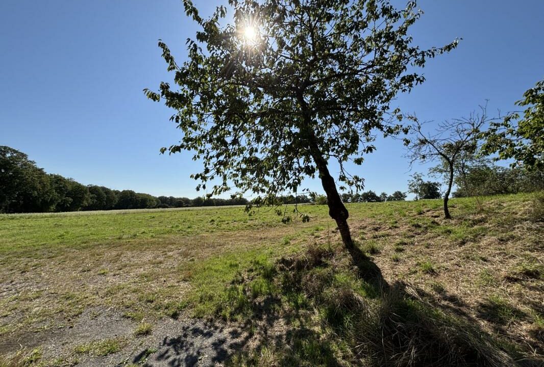 453-ARSATI-30112025-033856-1