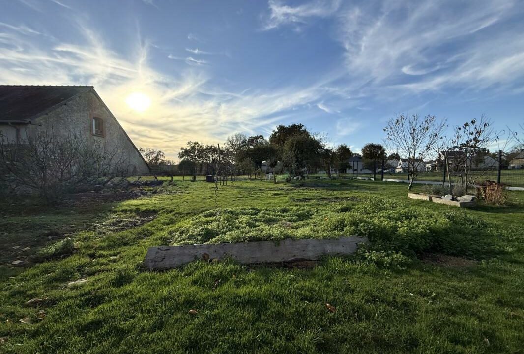 481-ARSATI-14012026-162620-10