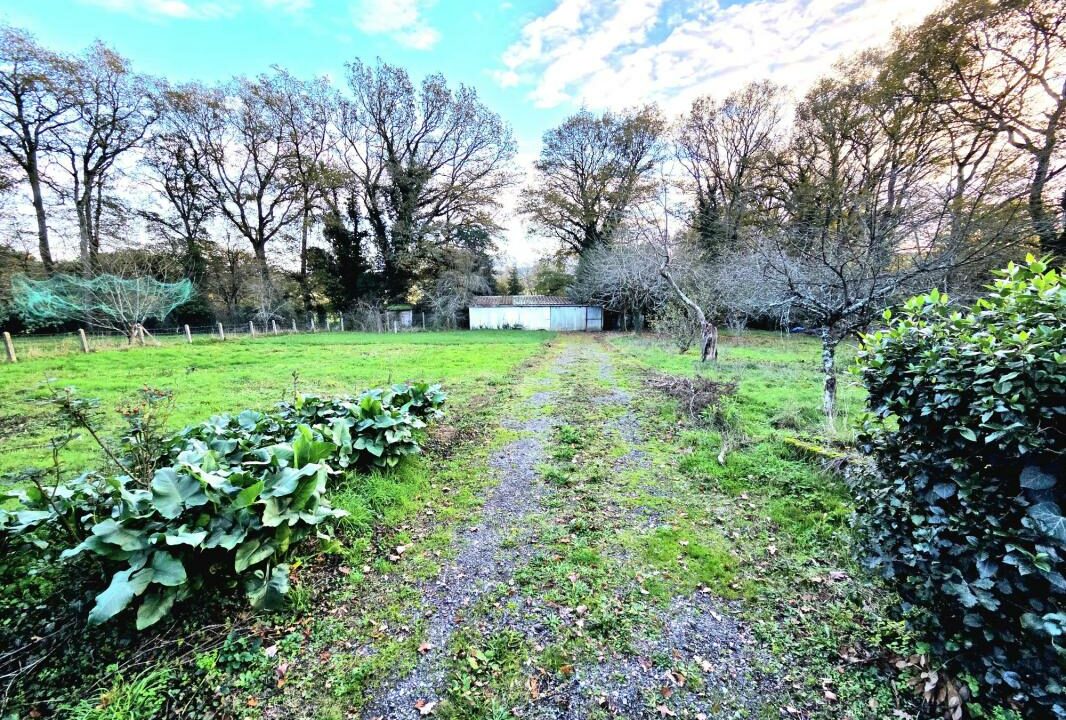 488-ARSATI-14012026-162622-3