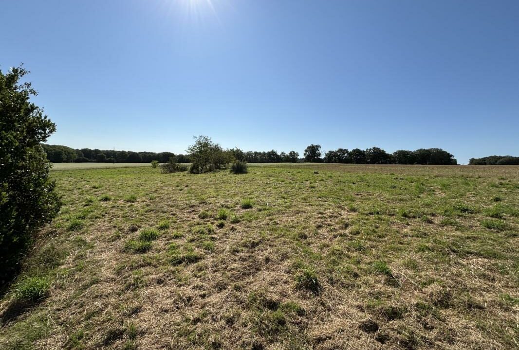 414-ARSATI-02022026-024905-9