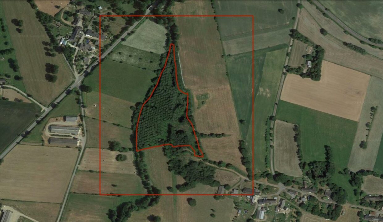 143-ARSATI-03032026-145002-1