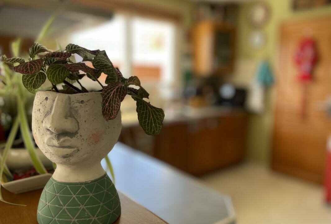 329-ARSATI-01032026-030038-11