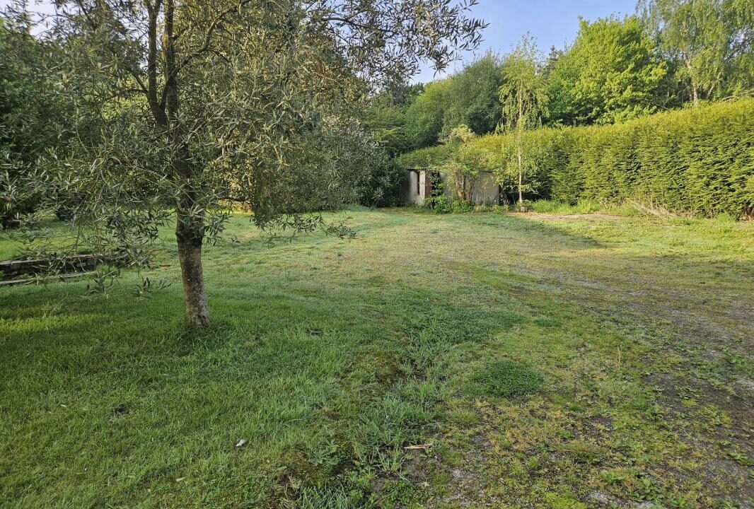 VT137-ARSATI-01032026-030052-1